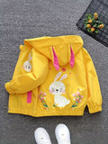 Kids Girls Spring Fall Thin Jacket with Lining, Girly Hooded Zip-Up Coat, Cartoon Print Top